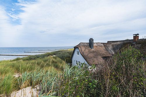 Maison au toit de chaume dans les dunes près d'Ahrenshoop sur le Darß. Ahrenshoop Côte baltique Fischland Darß