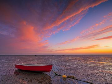 Rood en rood - Oosterschelde, zeeland van Bas Meelker