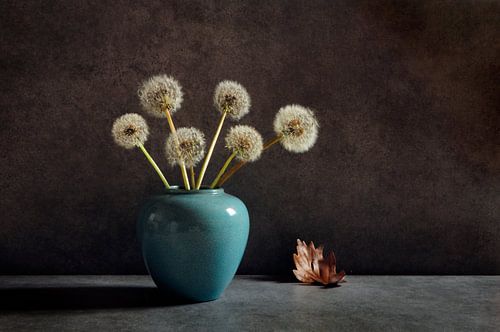 Still life with fluff balls