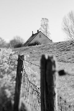 Ooijpolder in winter | black and white | Lensbaby