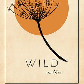 Wild und frei, wilde Karotte mit untergehender Sonne von KB Design & Photography (Karen Brouwer)
