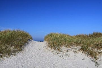 De duinen aan de Oostzee van Karina Baumgart