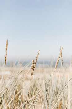 Stille am Meer