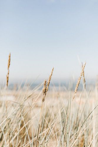 Stille am Meer