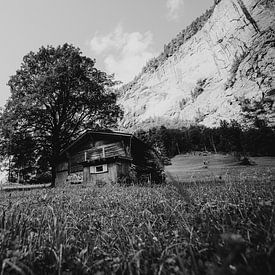 Hütte im Gras, Lauterbrunnen, Schweiz | Holzhütte Landschaftsfotografie | Schwarzweiß von Ilse Stronks | Lines and light inspired travel photography