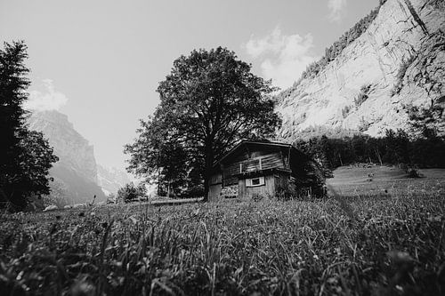 Hut in het gras, Lauterbrunnen, Zwitserland | Houten huisje landschapsfotografie | Zwart en wit