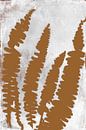 Farnblätter im Retro-Stil. Moderne botanische minimalistische Kunst in Terrakotta auf Weiß von Dina Dankers Miniaturansicht