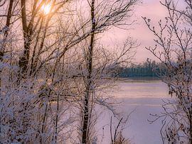 PAYSAGE HIVERNAL SOUABE sur Photoart-Naegele
