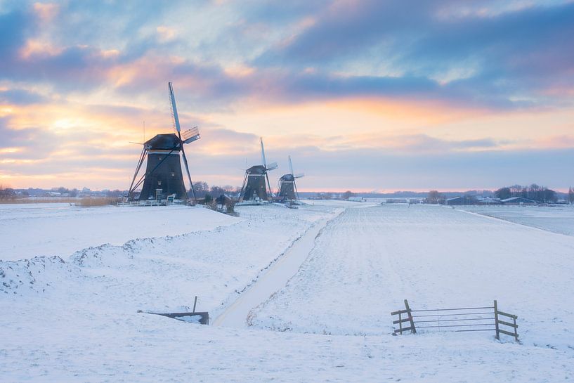 Drie molens bij zonsopkomst in een winter landschap van iPics Photography