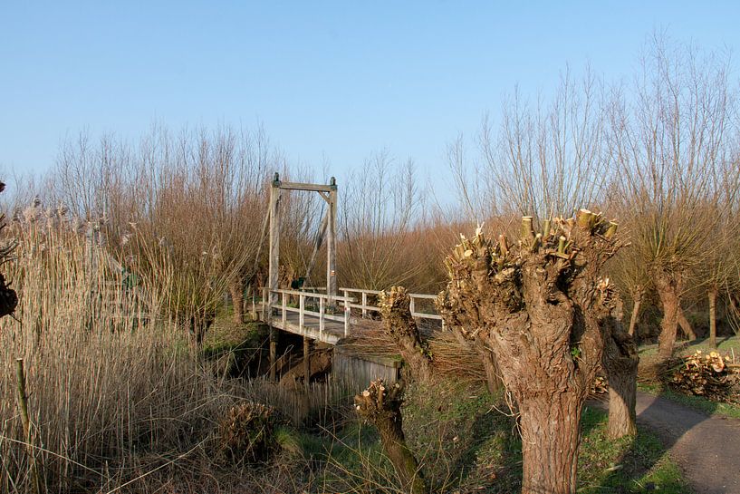 Rhoonse Grienden 01 von Hans Blommestijn