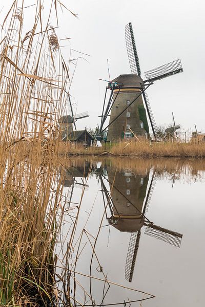 Molens werelderfgoed Kinderdijk by Mark den Boer