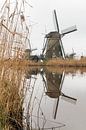 Molens werelderfgoed Kinderdijk by Mark den Boer thumbnail