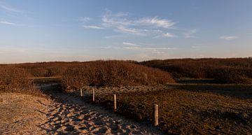 Sand path through the dunes by Percy's fotografie