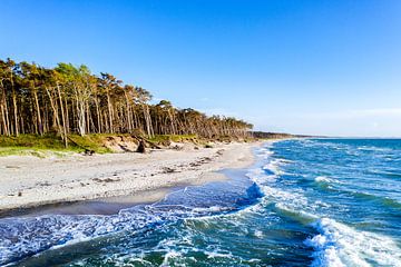 Surfez à Darßer Weststrand, sur la côte de la mer Baltique sur Sascha Kilmer