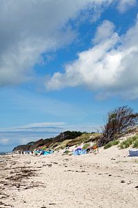 Ostsee: Darß - Weststrand