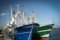 Fishing vessels in Oudeschild