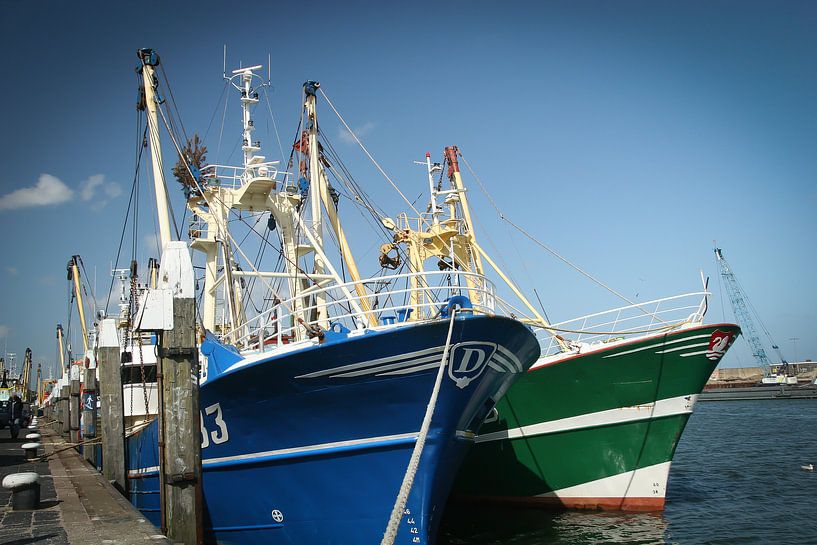 Fischereifahrzeuge in Oudeschild von Rob Reedijk