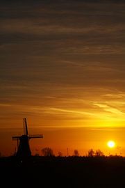 Goodnight! by Koolpics