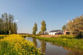 On the edge of the Pompveld by Ruud Morijn
