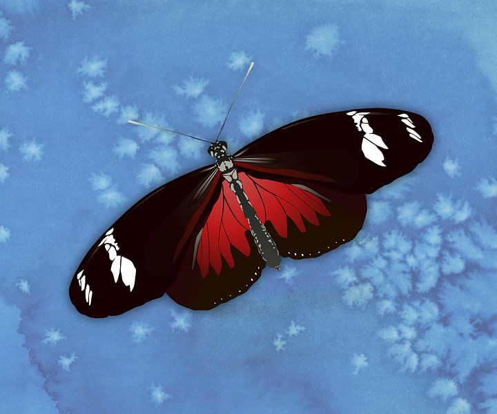 Le papillon Heliconius doris par Bianca Wisseloo