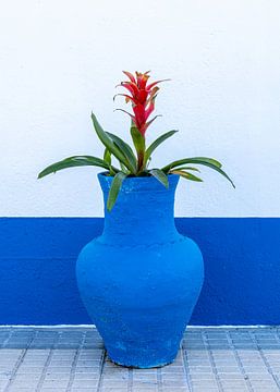 Blauwe bloempot in Portugal van Adelheid Smitt