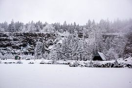 Petite randonnée hivernale dans la forêt enneigée de Thuringe près de Floh-Seligenthal - Thuringe - Allemagne sur Oliver Hlavaty