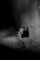 Eenzame Buddha