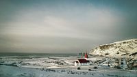 Vik - Iceland