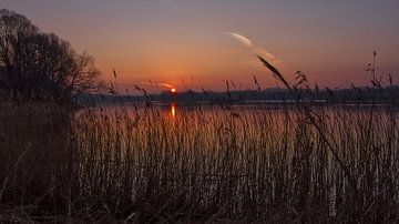 Mooie lentedag in het verschiet van Frank Amez (Alstamarisphotography)