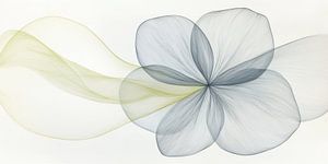 Blume abstrakt