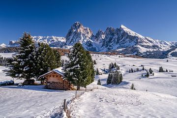 Seiser Alm Südtirol von Achim Thomae Photography