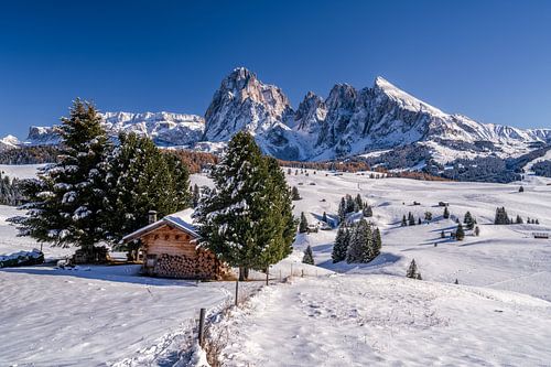 Seiser Alm Südtirol von Achim Thomae Photography