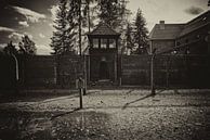 Le mirador d'Auschwitz par Caught By Light Aperçu