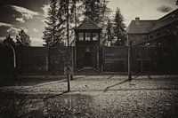 De wachttoren van Auschwitz