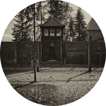 De wachttoren van Auschwitz van Caught By Light