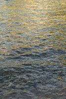 Goldgelbe Lichtreflexe im klaren Meerwasser