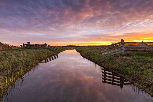 Quiet awakening in Kruiszwin nature reserve under colourful cloud cover