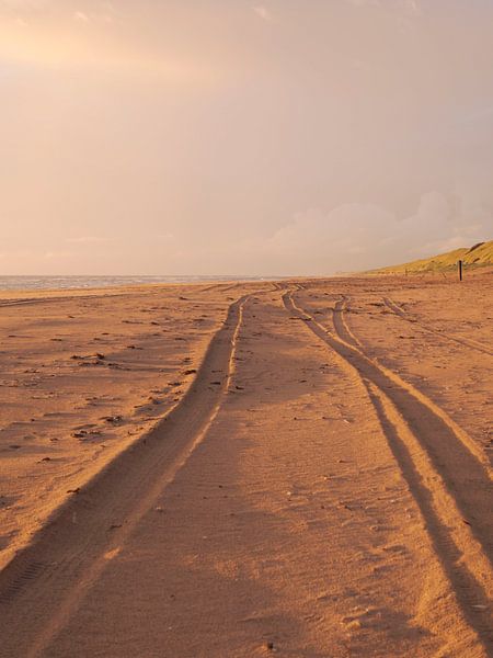 Traces sur la plage I Été sur la mer du Nord I Heure dorée I Bloemendaal aan Zee, Hollande du Nord par Floris Trapman