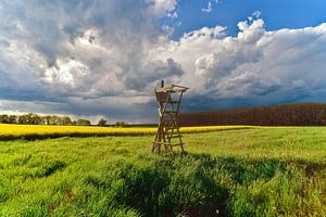 Drame printanier des nuages au-dessus d'un champ de colza lumineux