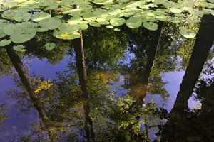 Réflexions.