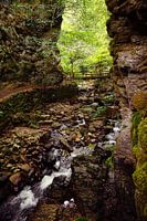 Nature North Scotland