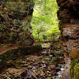 Natur Nordschottland von Vivo Fotografie