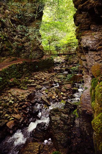 Nature North Scotland van Vivo Fotografie