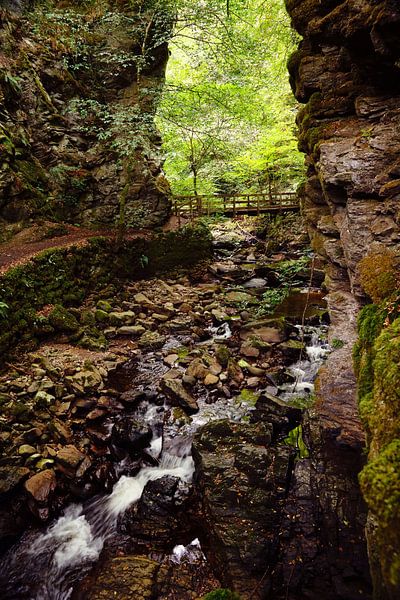 Nature North Scotland van Vivo Fotografie