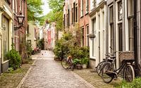 Street opinion in Leiden, Netherlands.