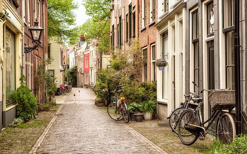Street opinion in Leiden, Netherlands. by Lorena Cirstea