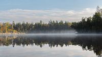 Silent lake in the fog