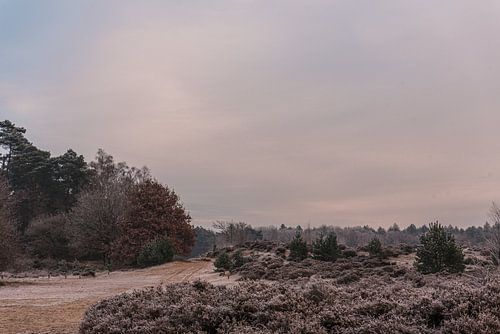 L'hiver à Leusden sur Mascha Boot