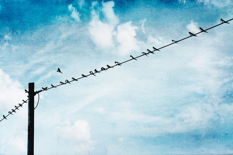 27 Schwalben auf Draht - eine fliegt fort von Dirk Wüstenhagen