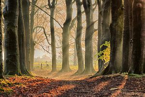 Herbst-Gefühl im Frühjahr